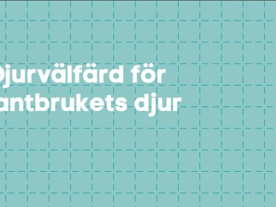Djurvälfärd för lantbrukets djur