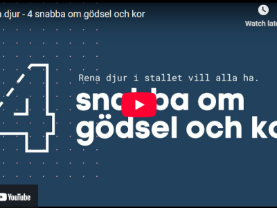 Handfasta råd för ökad djurvälfärd