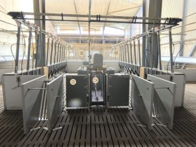 Digital stallvandring – vågstall för slaktgris