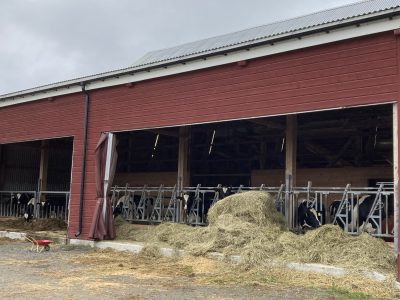 Byggkonferens 2025: Nytt liv i gamla väggar!
