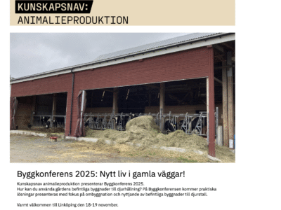 Nyhetsbrev 4/2025 ute nu