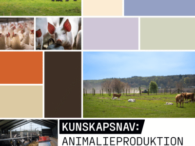 Årsrapport 2025 – ett år av leverans och samverkan